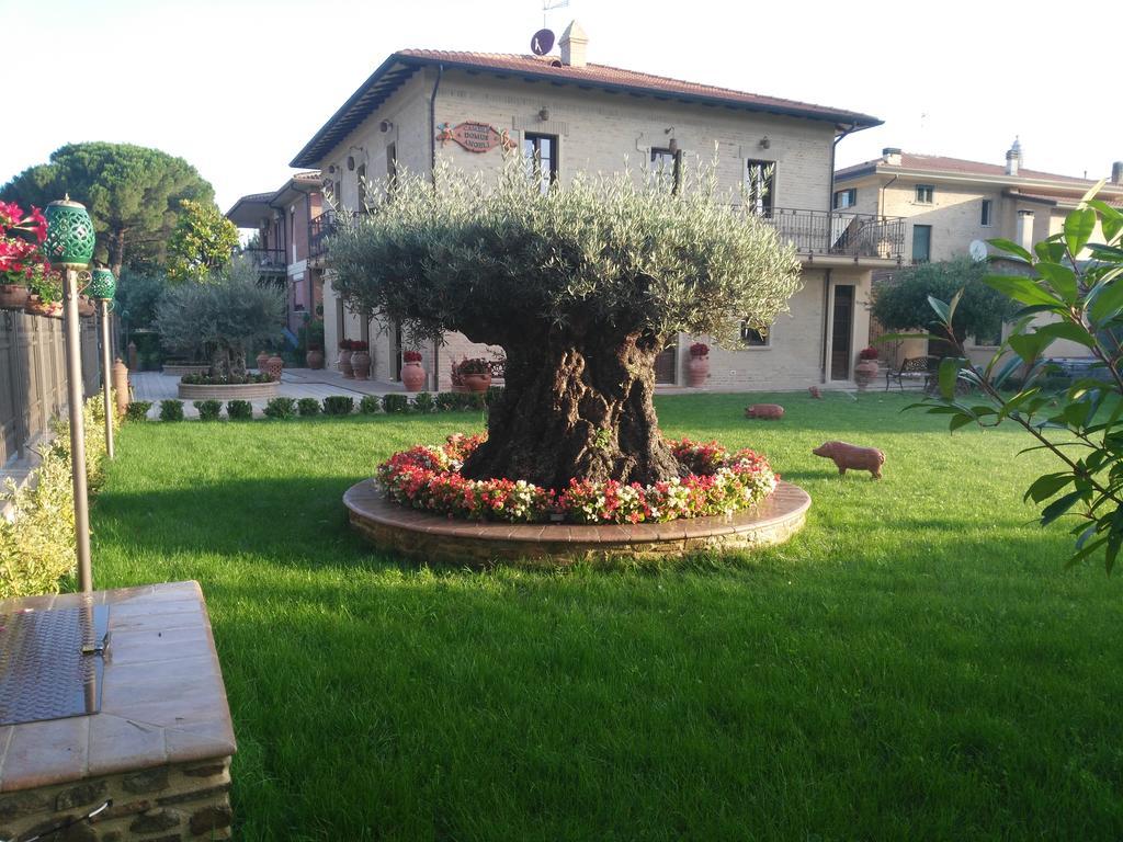 Domus Angeli Ξενοδοχείο Ασίζη Εξωτερικό φωτογραφία